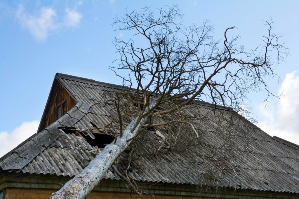 Stormschade aan woning met boom op dak en gebarsten dakbedekking